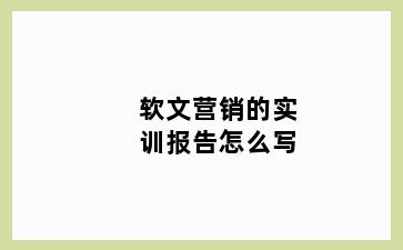 软文营销的实训报告怎么写