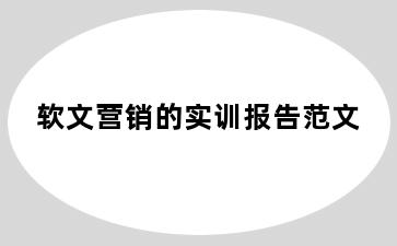 软文营销的实训报告范文