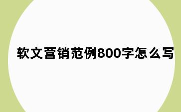 软文营销范例800字怎么写