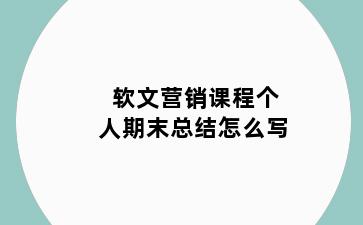 软文营销课程个人期末总结怎么写