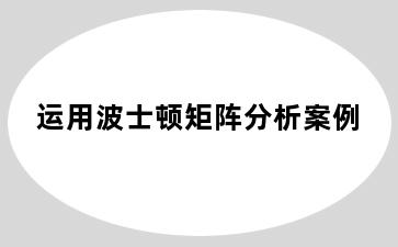 运用波士顿矩阵分析案例