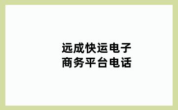 远成快运电子商务平台电话