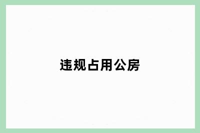 违规占用公房