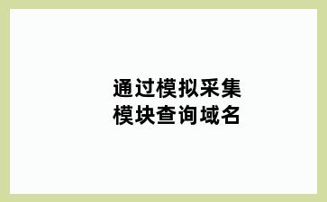 通过模拟采集模块查询域名