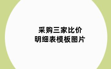 采购三家比价明细表模板图片