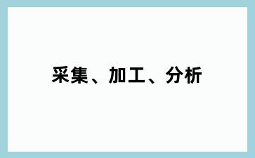 采集、加工、分析