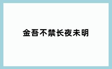 金吾不禁长夜未明