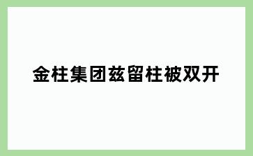 金柱集团兹留柱被双开