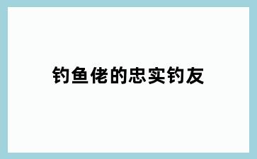 钓鱼佬的忠实钓友