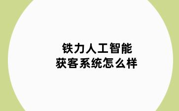 铁力人工智能获客系统怎么样