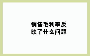 销售毛利率反映了什么问题