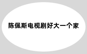 陈佩斯电视剧好大一个家