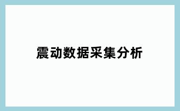 震动数据采集分析