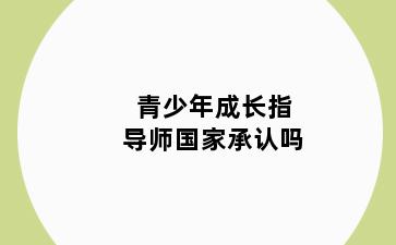 青少年成长指导师国家承认吗