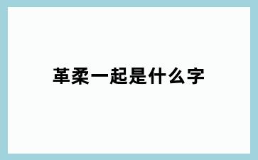 革柔一起是什么字