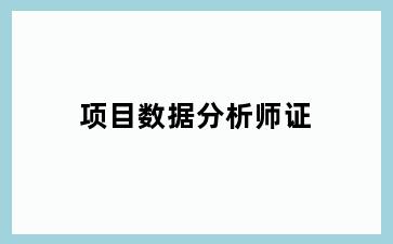 项目数据分析师证