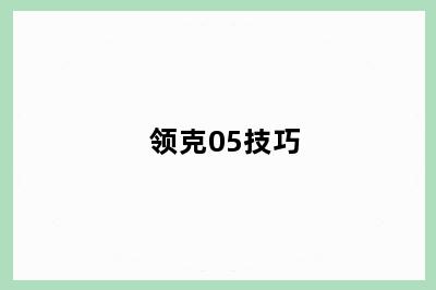 领克05技巧