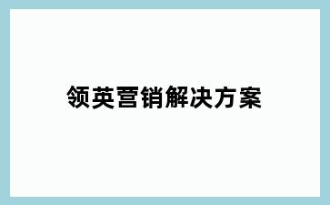 领英营销解决方案