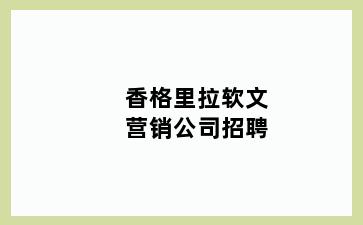 香格里拉软文营销公司招聘