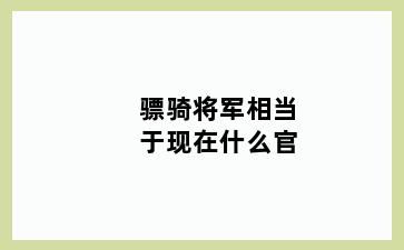 骠骑将军相当于现在什么官