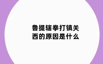 鲁提辖拳打镇关西的原因是什么