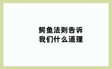 鳄鱼法则告诉我们什么道理