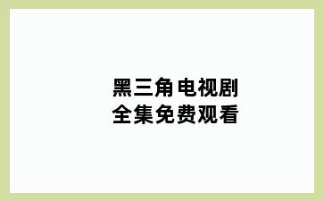 黑三角电视剧全集免费观看