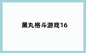 黑丸格斗游戏16