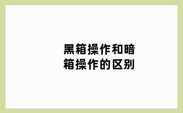 黑箱操作和暗箱操作的区别