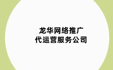 龙华网络推广代运营服务公司