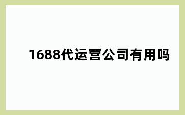 1688代运营公司有用吗