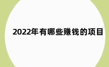 2022年有哪些赚钱的项目