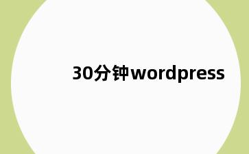 30分钟wordpress