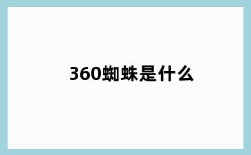 360蜘蛛是什么