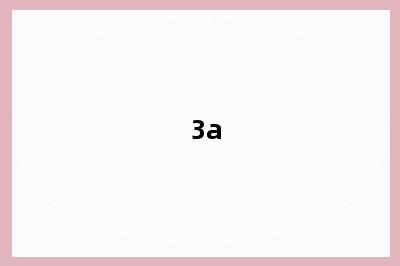 3a