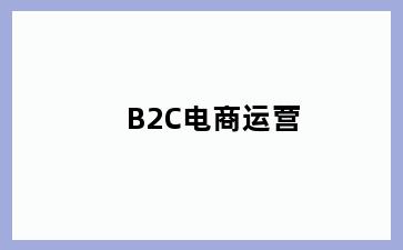 B2C电商运营