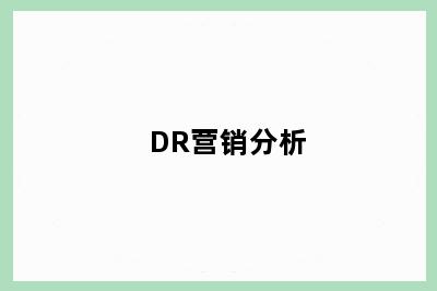 DR营销分析