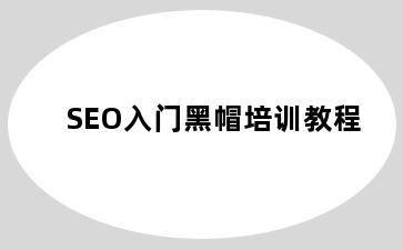 SEO入门黑帽培训教程