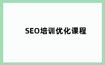 SEO培训优化课程