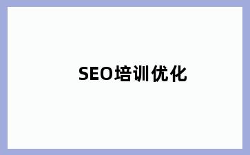 SEO培训优化