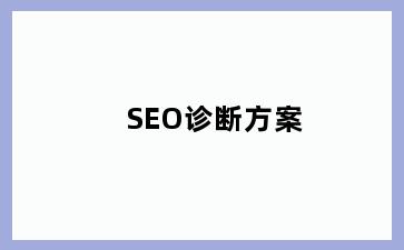 SEO诊断方案