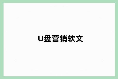 U盘营销软文