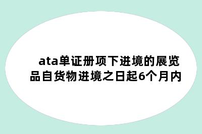 ata单证册项下进境的展览品自货物进境之日起6个月内