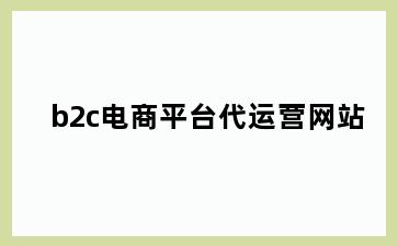 b2c电商平台代运营网站