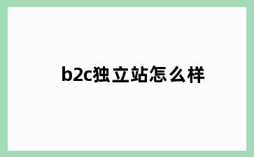 b2c独立站怎么样