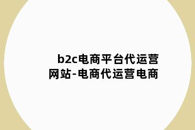 b2c电商平台代运营网站-电商代运营电商