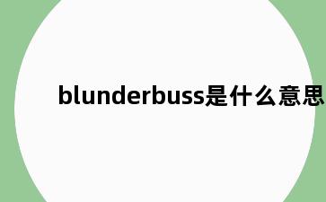 blunderbuss是什么意思