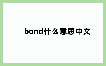 bond什么意思中文