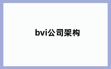 bvi公司架构