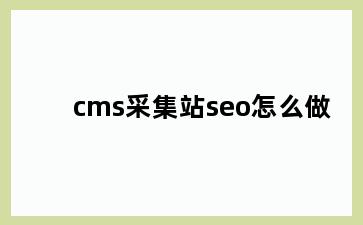 cms采集站seo怎么做